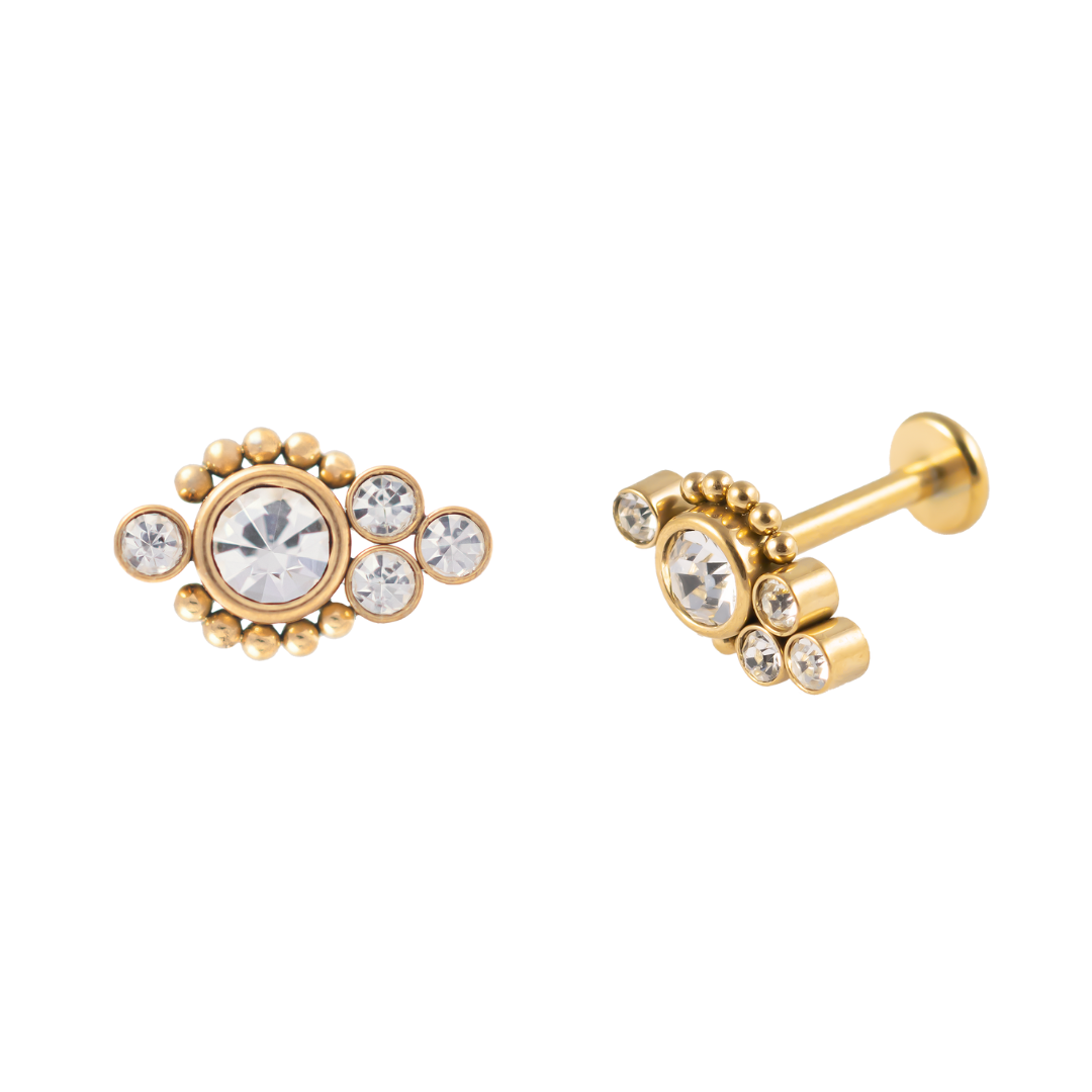 Auss pīrsingu veidi un tipi, pīrsinga auskari