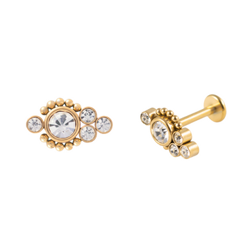 Auss pīrsingu veidi un tipi, pīrsinga auskari