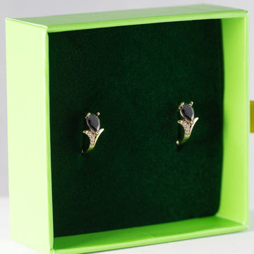 Ilze vārda diena Ilze vārda nozīme