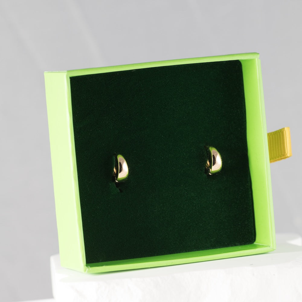 Riņķīšu auskari 'BELLA'