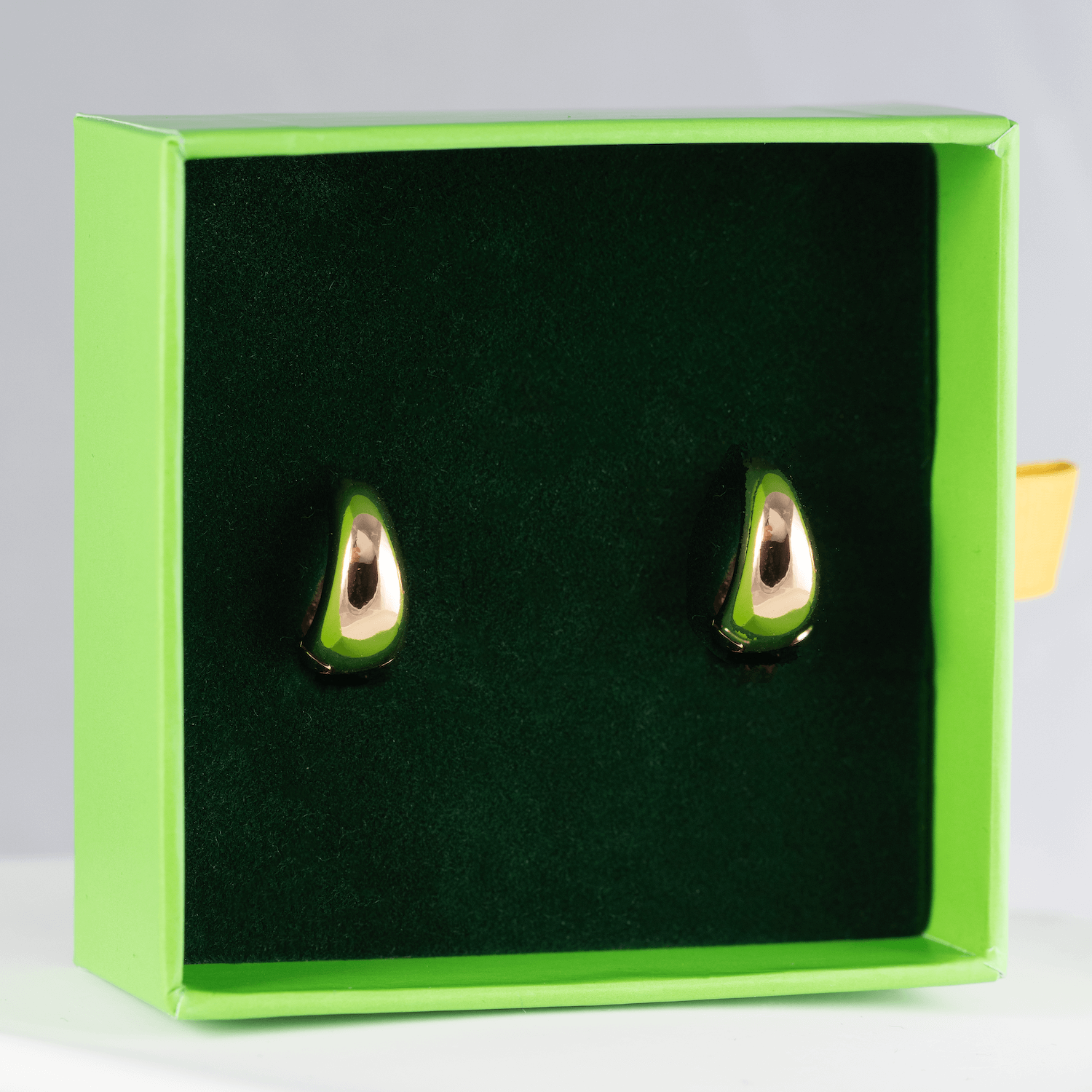 Antialerģiski riņķīšu auskari 'ANITA'