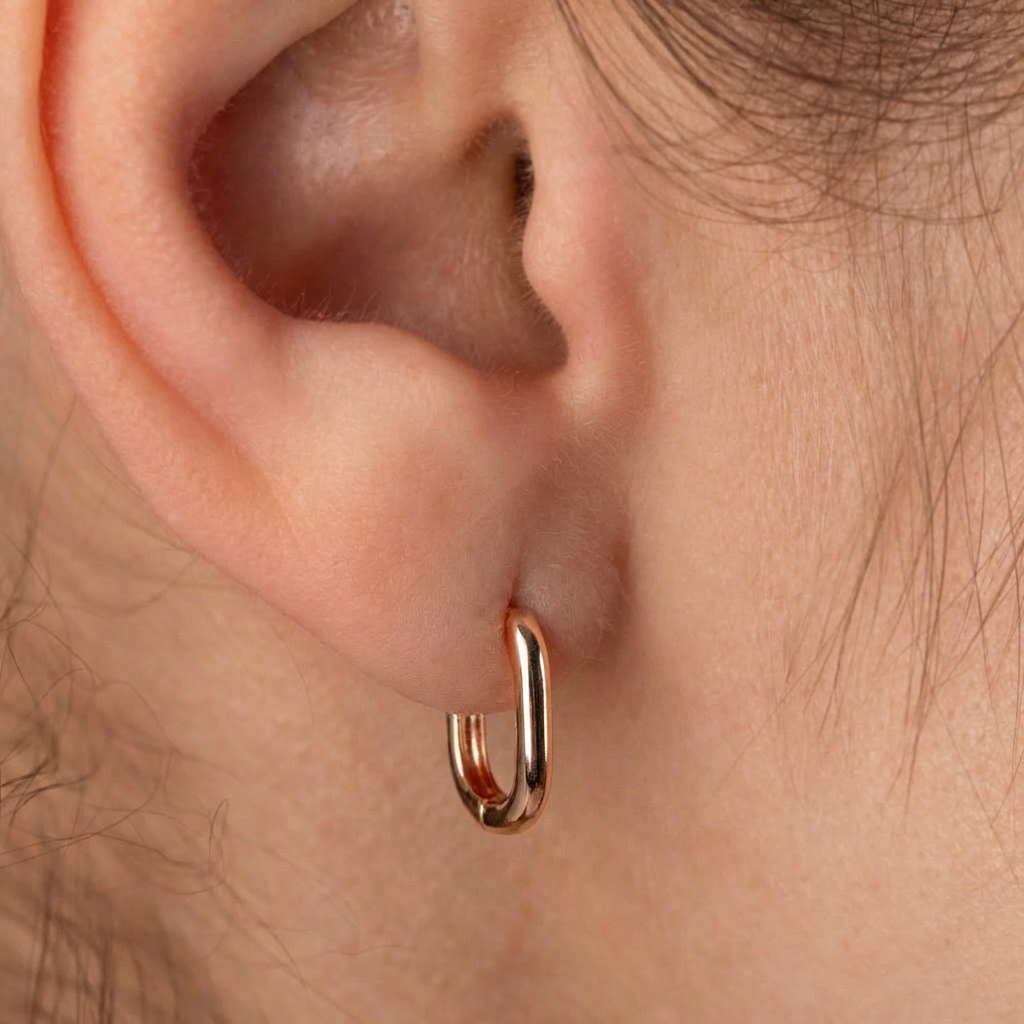 Eleganti riņķīšu auskari&nbsp; 'ŽANNA'